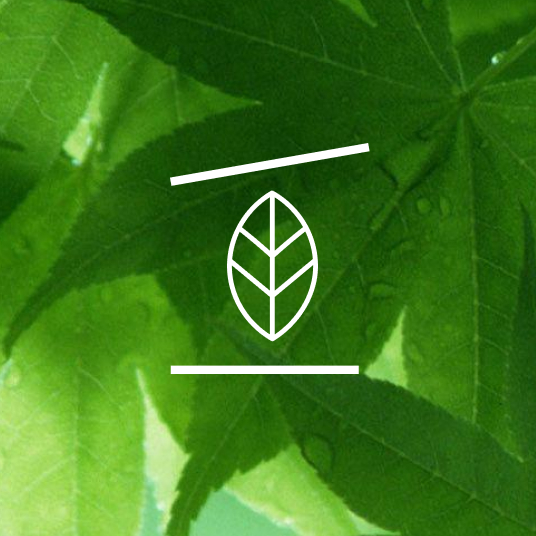 Icona su sfondo verde che rappresenta la casa sostenibile